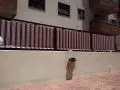 Toldo para Terraza de palilleria con quita vientos